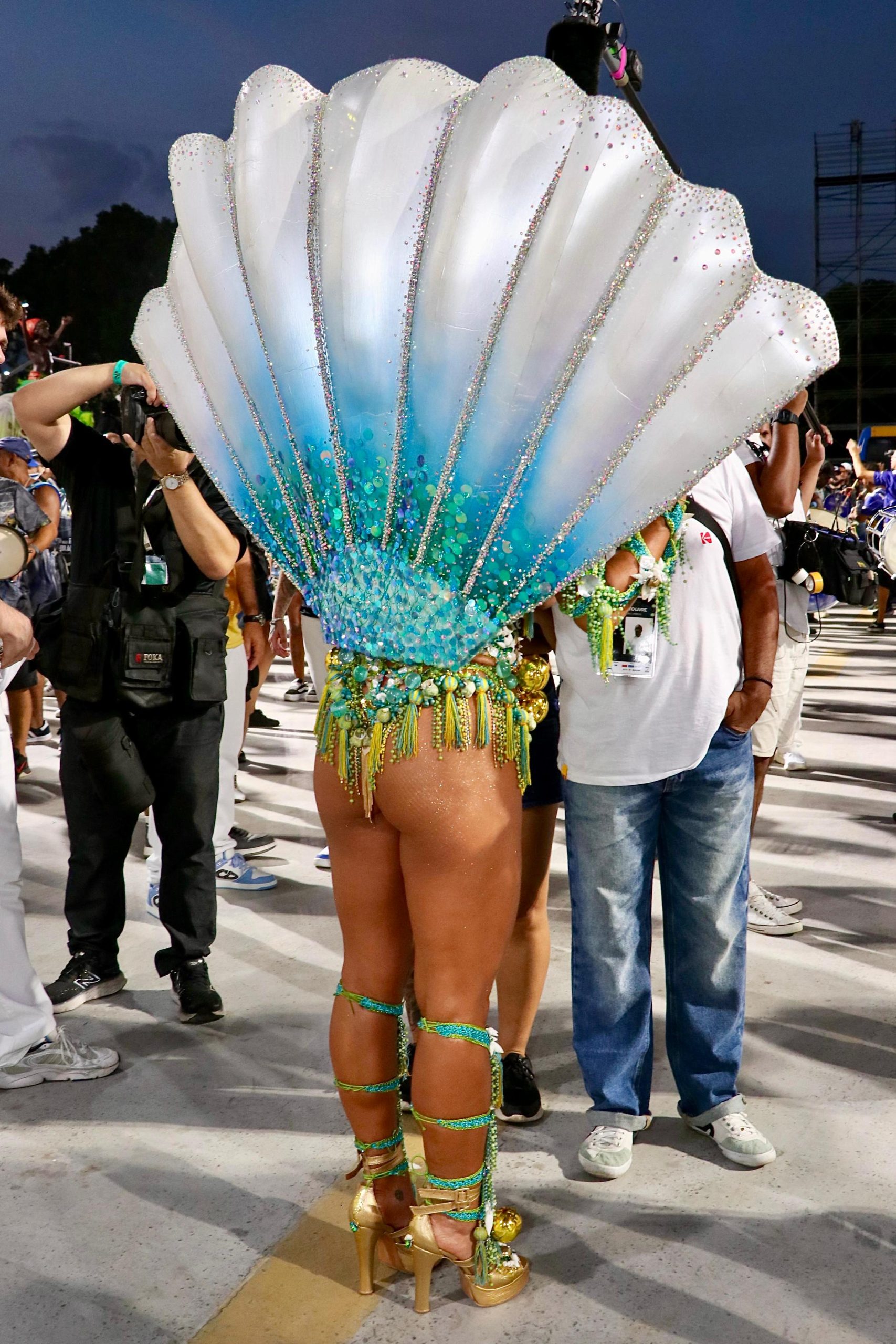 Carnaval Sabrina Sato (Foto: Wando Silva/Brazil News)