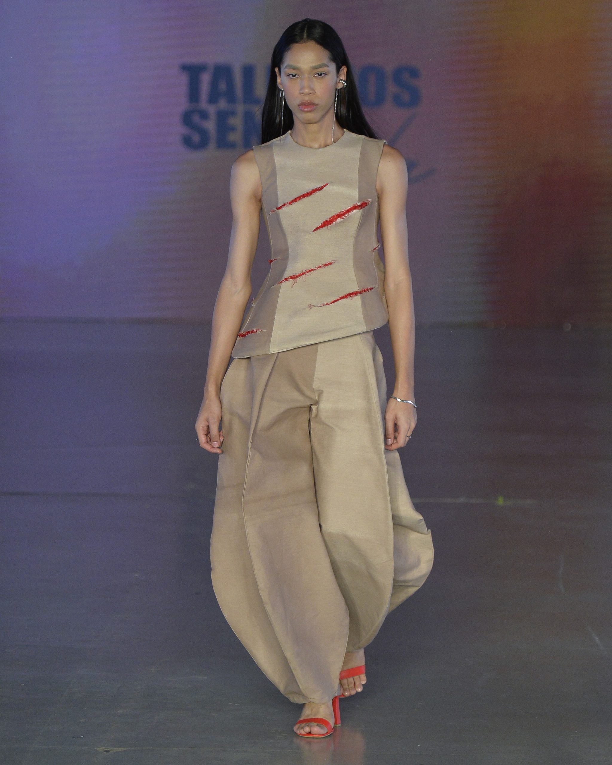 Desfile Lebenites + Cisne Negro (Foto: Foto: Marcelo Soubhia/ @agfotosite)