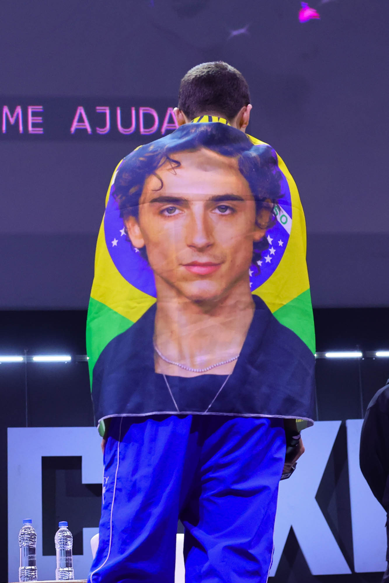 Timothée Chalamet (Foto: Brazil News)
