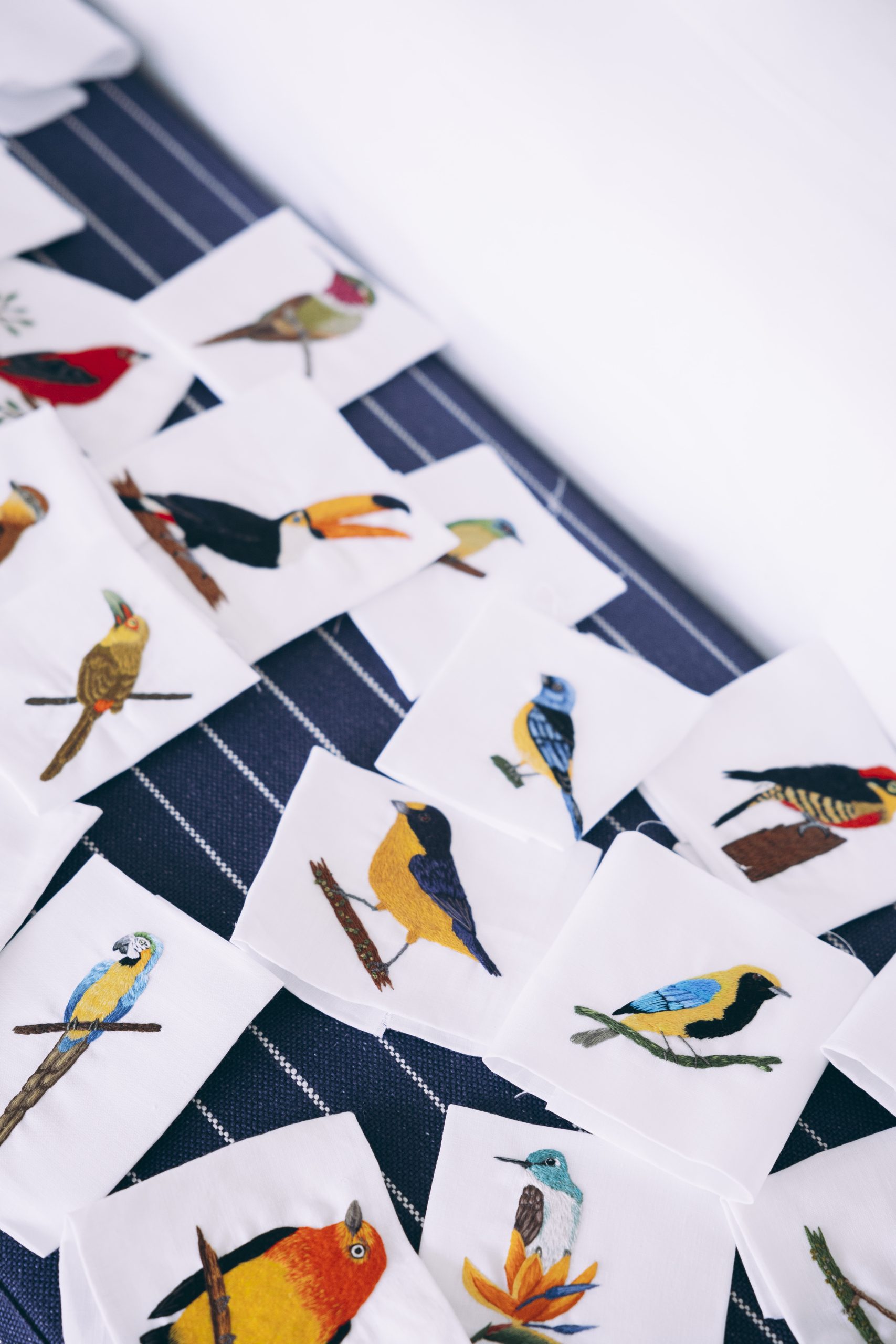 Estampas inspiradas na fauna brasileira (Foto: Divulgação)