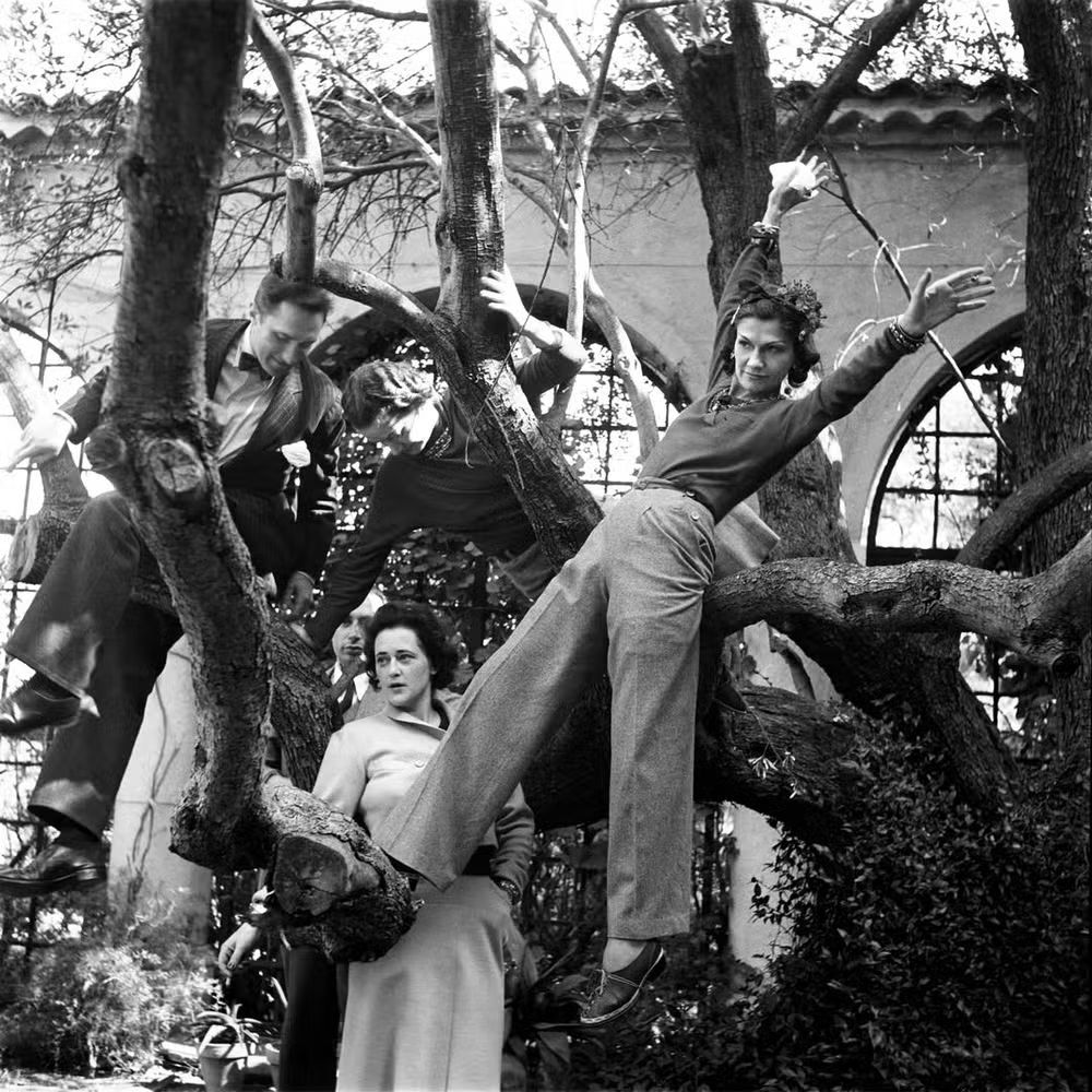 Chanel e amigos na oliveira em La Pausa (Foto: Divulgação)