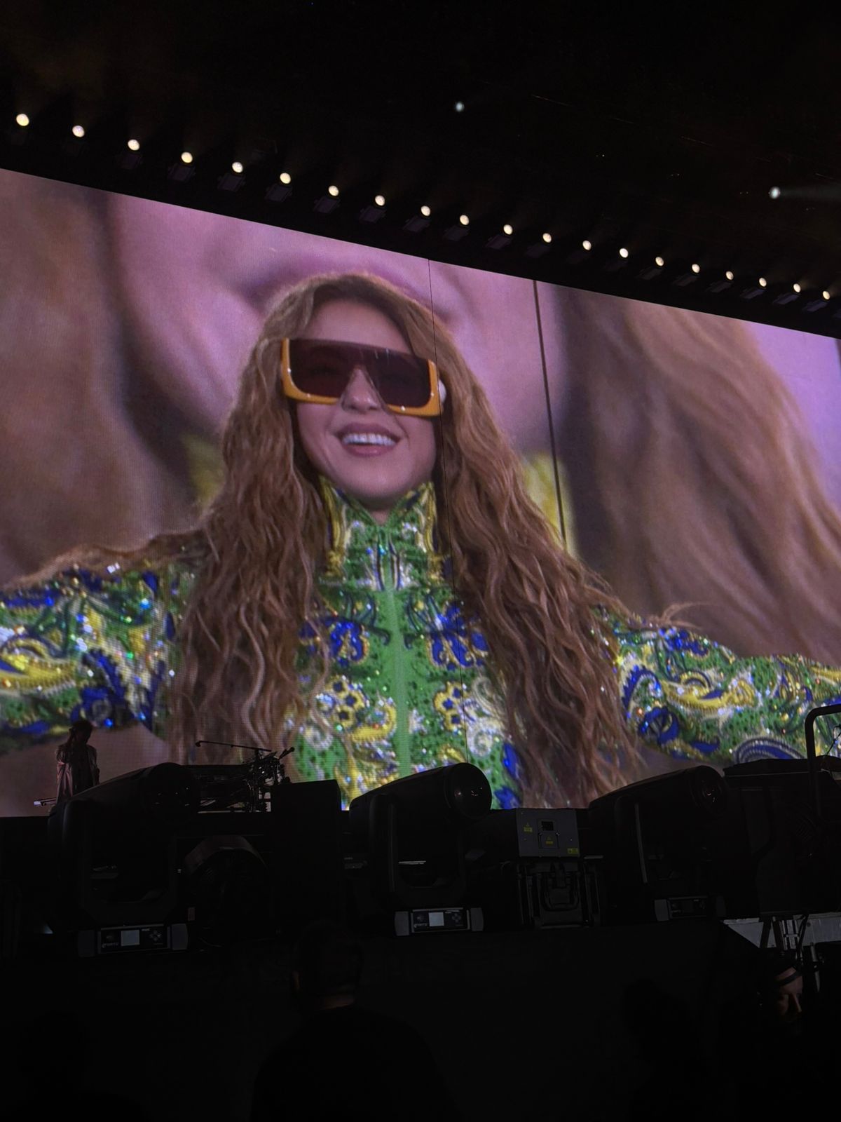 Shakira (Foto: Divulgação)