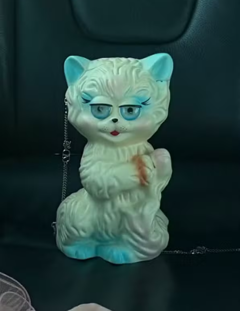 Bolsa de gato (Foto: @marinaruybarbosa/Instagram/Reprodução)