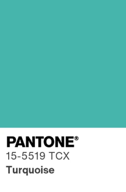 Pantone (Foto: Pantone/Reprodução)